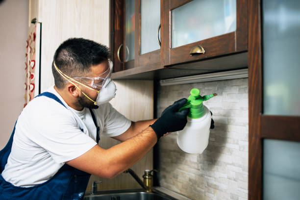 Best Affordable Pest Control Services  in Big Spring, TX